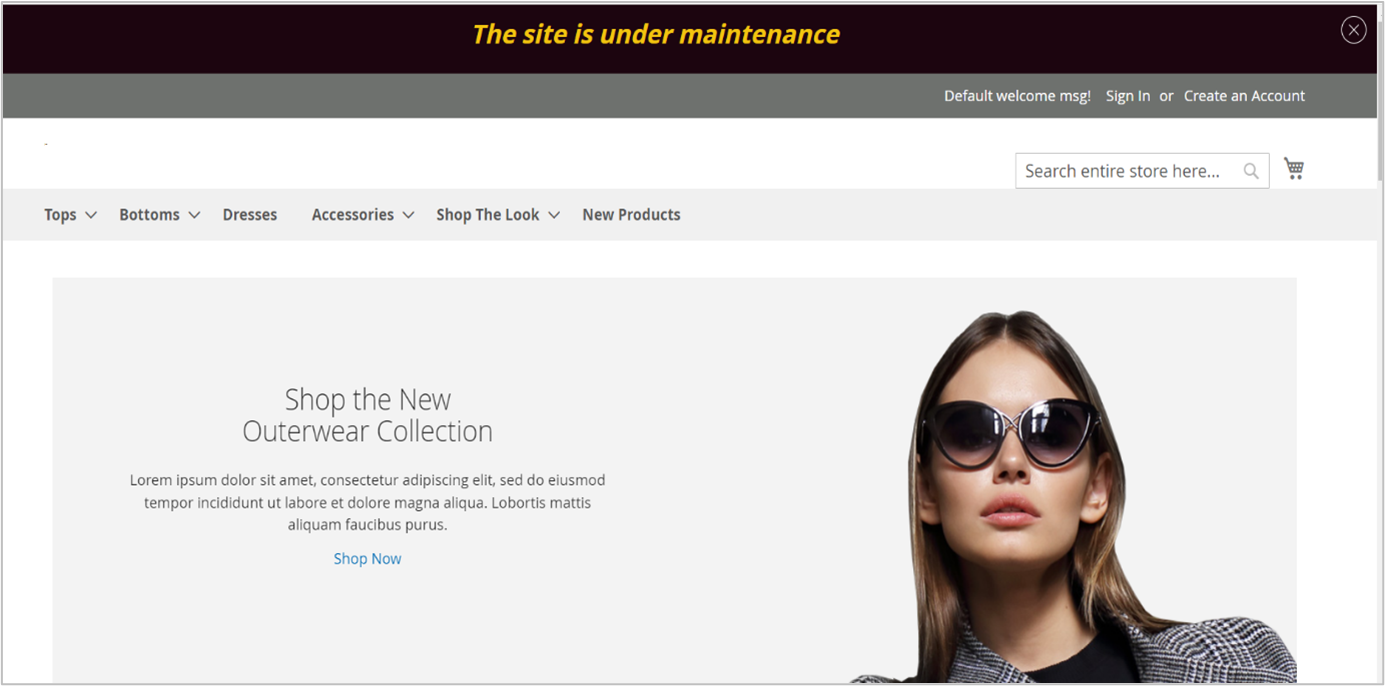 Magento 2 Wartungsmeldung Banner