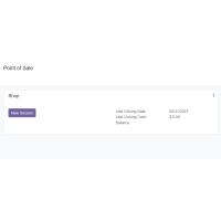 Odoo POS Inventory Report