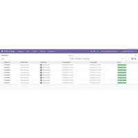 Odoo POS Inventory Report