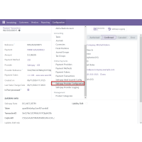 Odoo Saferpay Payment Provider Plugin