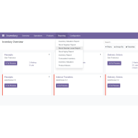 Odoo Inventory Report