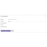 Odoo Inventory Report