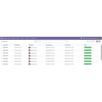 Odoo POS Inventory Report