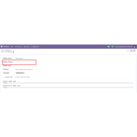 Odoo wallee Payment Provider
